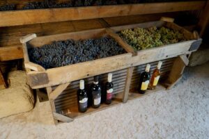Cantina dei vini, Villa Canestrari - Angolo di Barbara