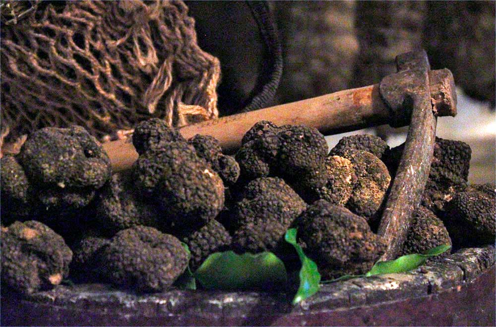 Prodotti di stagione, tartufo nero di Norcia - Angolo di Barbara
